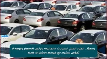 رسميًا.. المزاد العلني لسيارات «المالية» بأرخص الأسعار وفرصة لا تُعوّض للشراء مع ضوابط الاشتراك كاملة